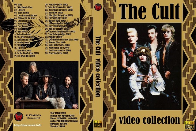 cover The Cult Video Collection mkv